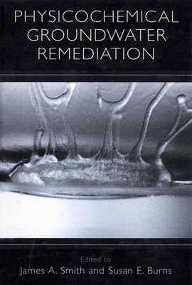Physicochemical Groundwater Remediation (Paperback)