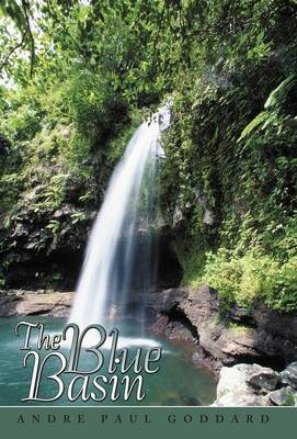 The Blue Basin (Hardback)