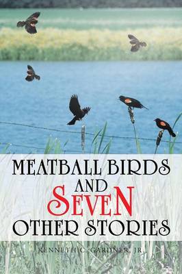 Meatball Birds and Seven Other Stories (Paperback)
