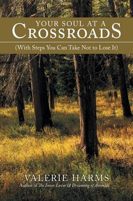 Your Soul at a Crossroads: (With Steps You Can Take Not to Lose It) (Paperback)