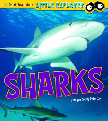 Sharks - Smithsonian Little Explorer (Hardback)