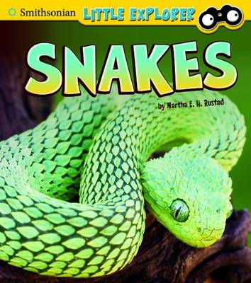 Snakes by Marha Rustad | Waterstones