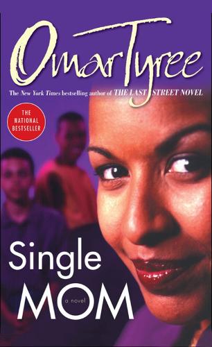 Single Mom (Paperback)