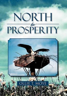 North to Prosperity (Hardback)