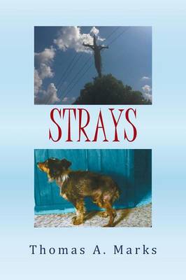 Strays (Paperback)