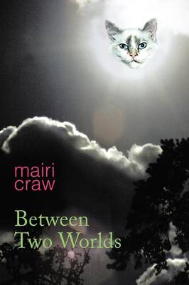 Between Two Worlds (Paperback)