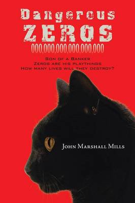 Dangerous Zeros (Paperback)