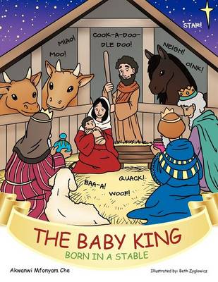 The Baby King: Born in a Stable (Paperback)