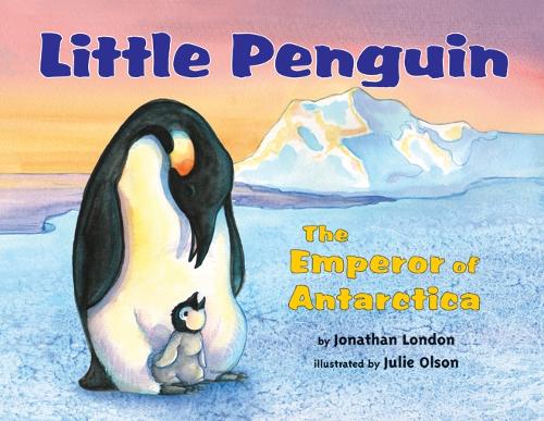 Little Penguin: The Emperor of Antarctica (Paperback)