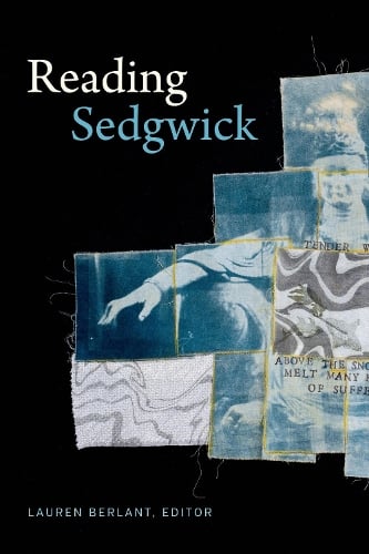 Reading Sedgwick - Theory Q (Paperback)