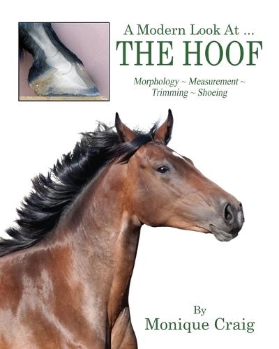 A Modern Look at ... the Hoof: Morphology Measurement Trimming Shoeing (Paperback)