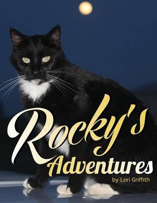 Rocky's Adventures (Paperback)