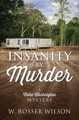 Insanity by Murder: A Cidee Washington Mystery (Paperback)