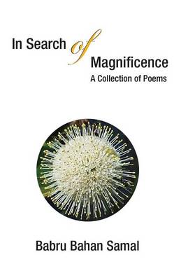 In Search of Magnificence: A Collection of Poems (Paperback)
