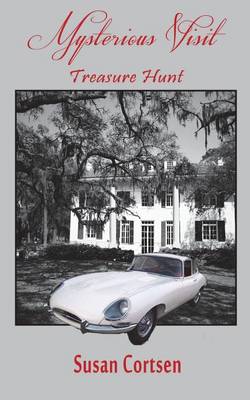 Mysterious Visit: Treasure Hunt (Paperback)