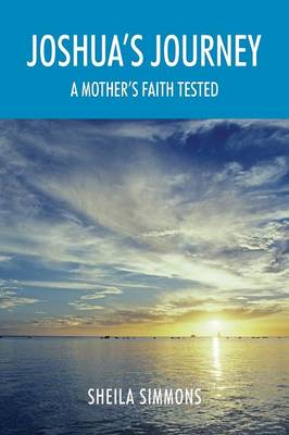 Joshua's Journey: A Mother's Faith Tested (Paperback)