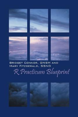 R Practicum Blueprint (Paperback)
