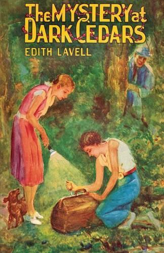 The Mystery at Dark Cedars (Paperback)