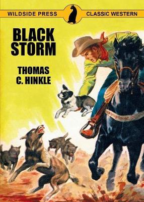 Black Storm (Paperback)