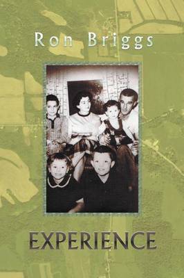 Experience (Paperback)