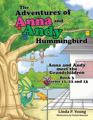 The Adventures of Anna and Andy Hummingbird: Anna and Andy Meet the Grandchildren, Book 3 Stories 11, 12 and 13 (Paperback)