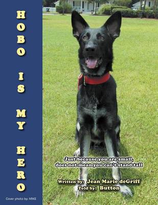 Hobo Is My Hero: Just Because You Are Small, Does Not Mean You Can't Stand Tall (Paperback)