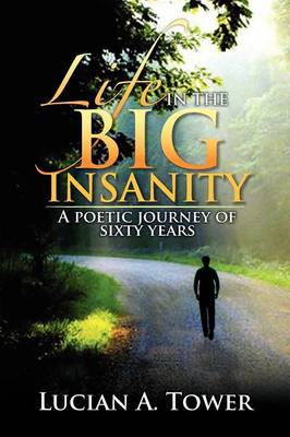 Life in the Big Insanity: A Poetic Journey of Sixty Years (Paperback)