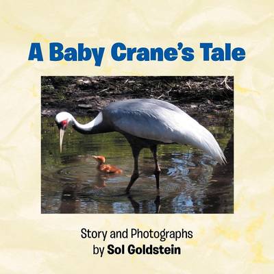 A Baby Crane's Tale (Paperback)