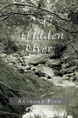 A Hidden River (Paperback)