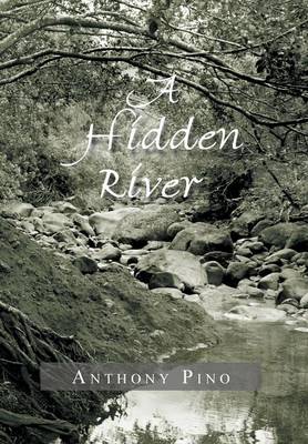 A Hidden River (Hardback)