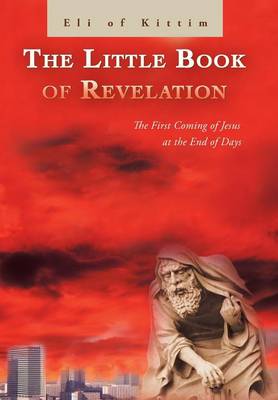 The Little Book of Revelation: The First Coming of Jesus at the End of Days (Hardback)