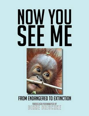 Now You See Me: From Endangered to Extinction (Paperback)
