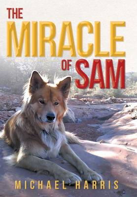The Miracle of Sam (Hardback)