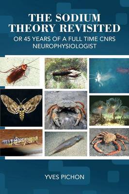 The Sodium Theory Revisited: Or 45 Years of a Full Time Cnrs Neurophysiologist (Paperback)