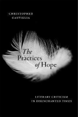 Cover The Practices of Hope: Literary Criticism in Disenchanted Times
