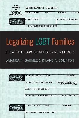 Legalizing LGBT Families: How the Law Shapes Parenthood (Paperback)