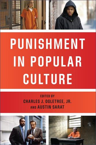 Punishment in Popular Culture - The Charles Hamilton Houston Institute Series on Race and Justice (Paperback)