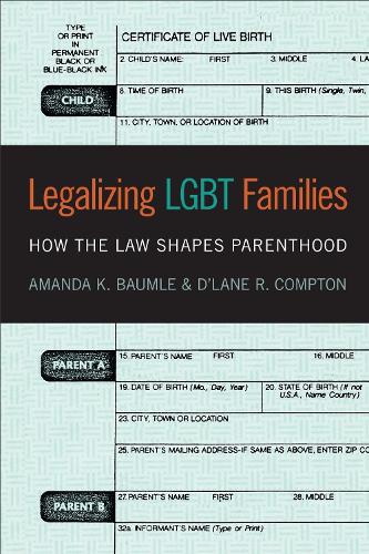 Legalizing LGBT Families: How the Law Shapes Parenthood (Hardback)