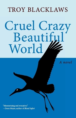 Cruel Crazy Beautiful World (Paperback)