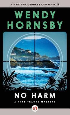 No Harm - Kate Teague Mysteries 1 (Hardback)