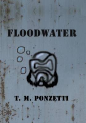 Floodwater (Hardback)