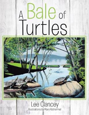 A Bale of Turtles (Paperback)