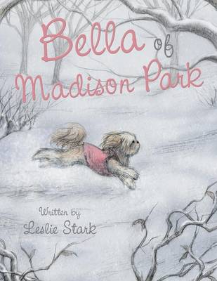 Bella of Madison Park (Paperback)