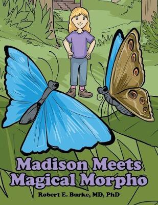 Madison Meets Magical Morpho (Paperback)