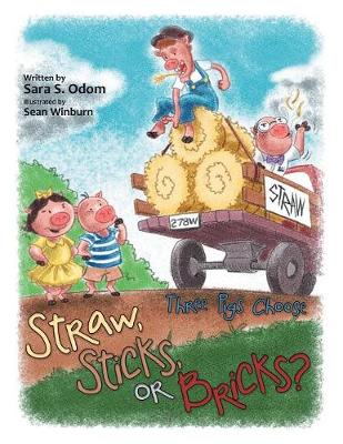 Straw, Sticks, or Bricks?: Three Pigs Choose (Paperback)