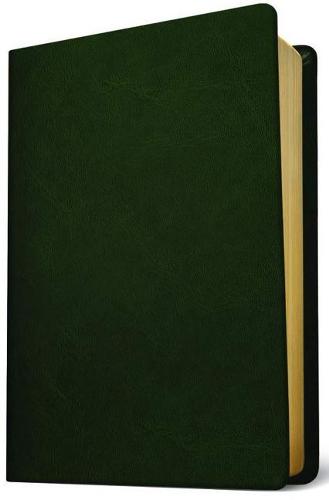 Baylor Annotated Study Bible (Leather / fine binding)