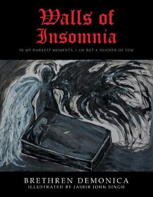 Walls of Insomnia: In My Darkest Moments, I Am But a Shadow of You (Paperback)