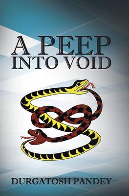 A Peep Into Void (Hardback)