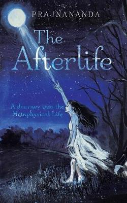 The Afterlife: A Journey Into the Metaphysical Life (Paperback)