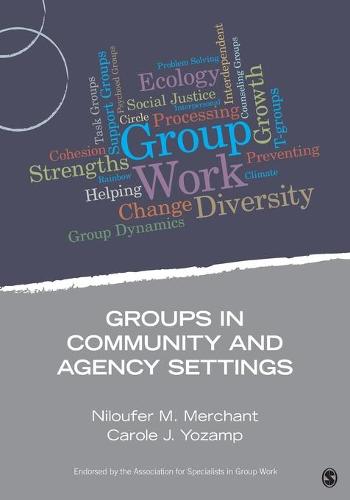 Groups in Community and Agency Settings - Group Work Practice Kit (Paperback)
